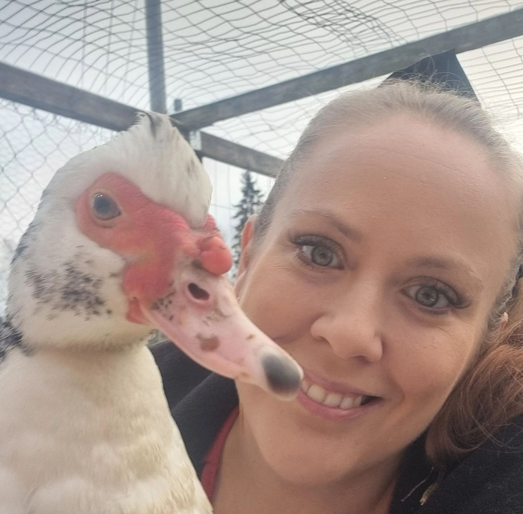 terapiankan raggsockan