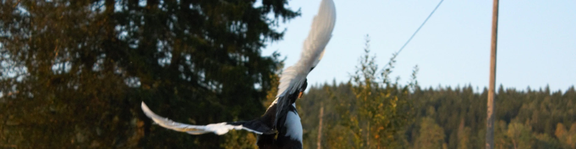 image-crop-200000002-3