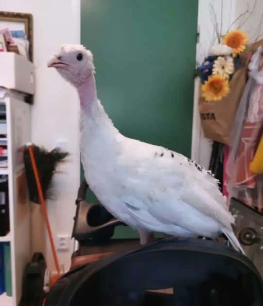 1e14bedc-f319-4286-b9a9-f937106f3b84