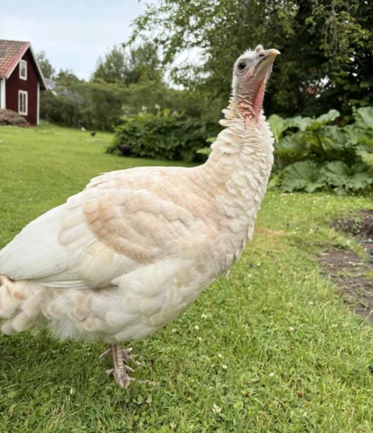 32380997-c7f9-45c0-989e-c857fd3bdec8