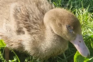 40dd7eb4-92f9-4af3-a3ce-805e44933d2b