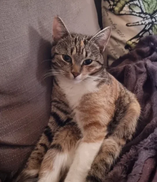 515335212_10160721458070882_2546720882337787897_n