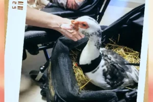 568698191_18536448700023463_2157090726245163703_n