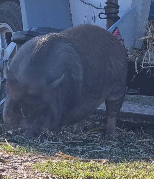 672352599_891564230606313_8877896592765506984_n