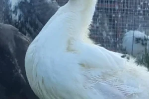 f6180a8c-441e-468a-855c-6ebb04b0413d-5