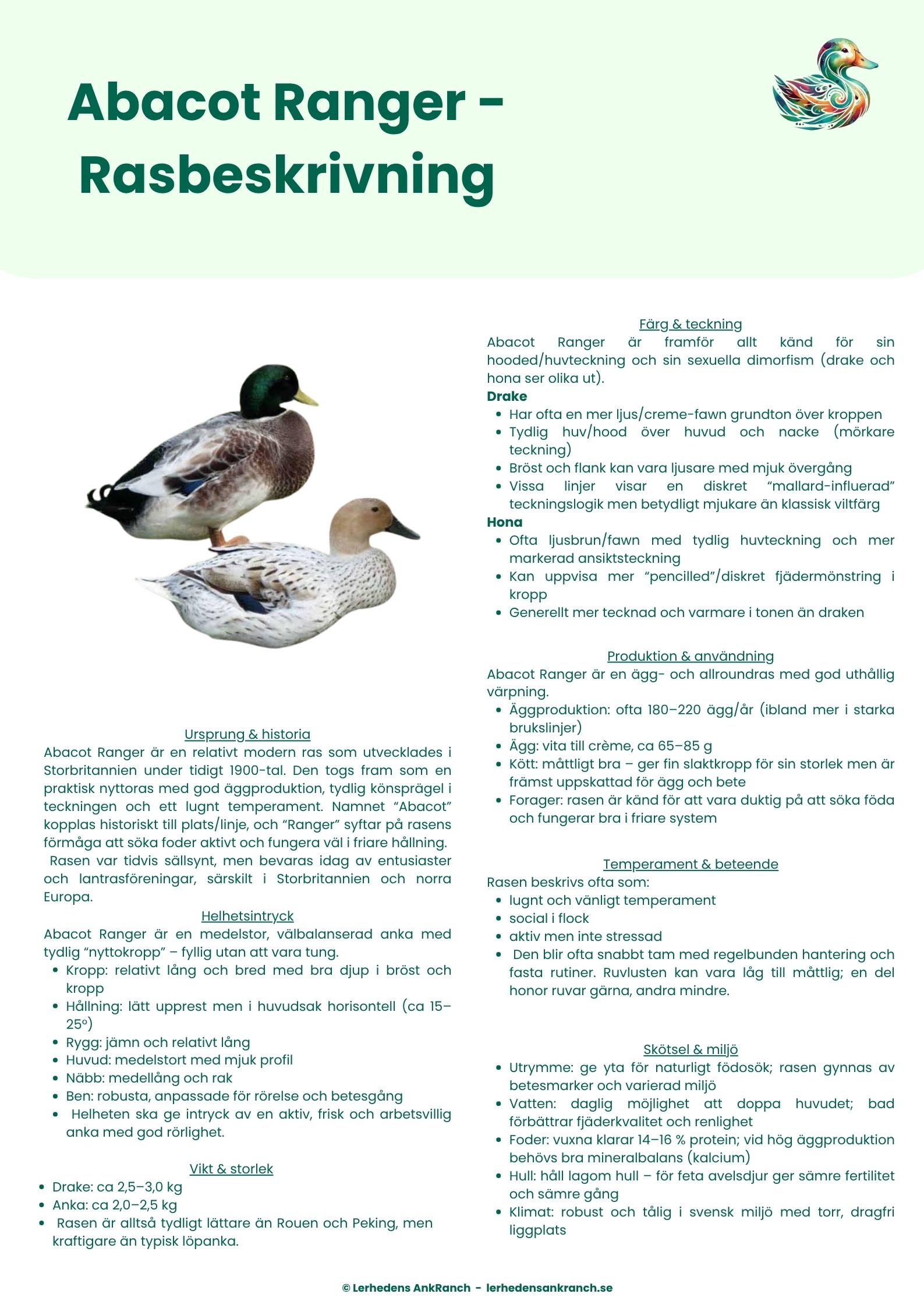 Abacot Ranger (1)