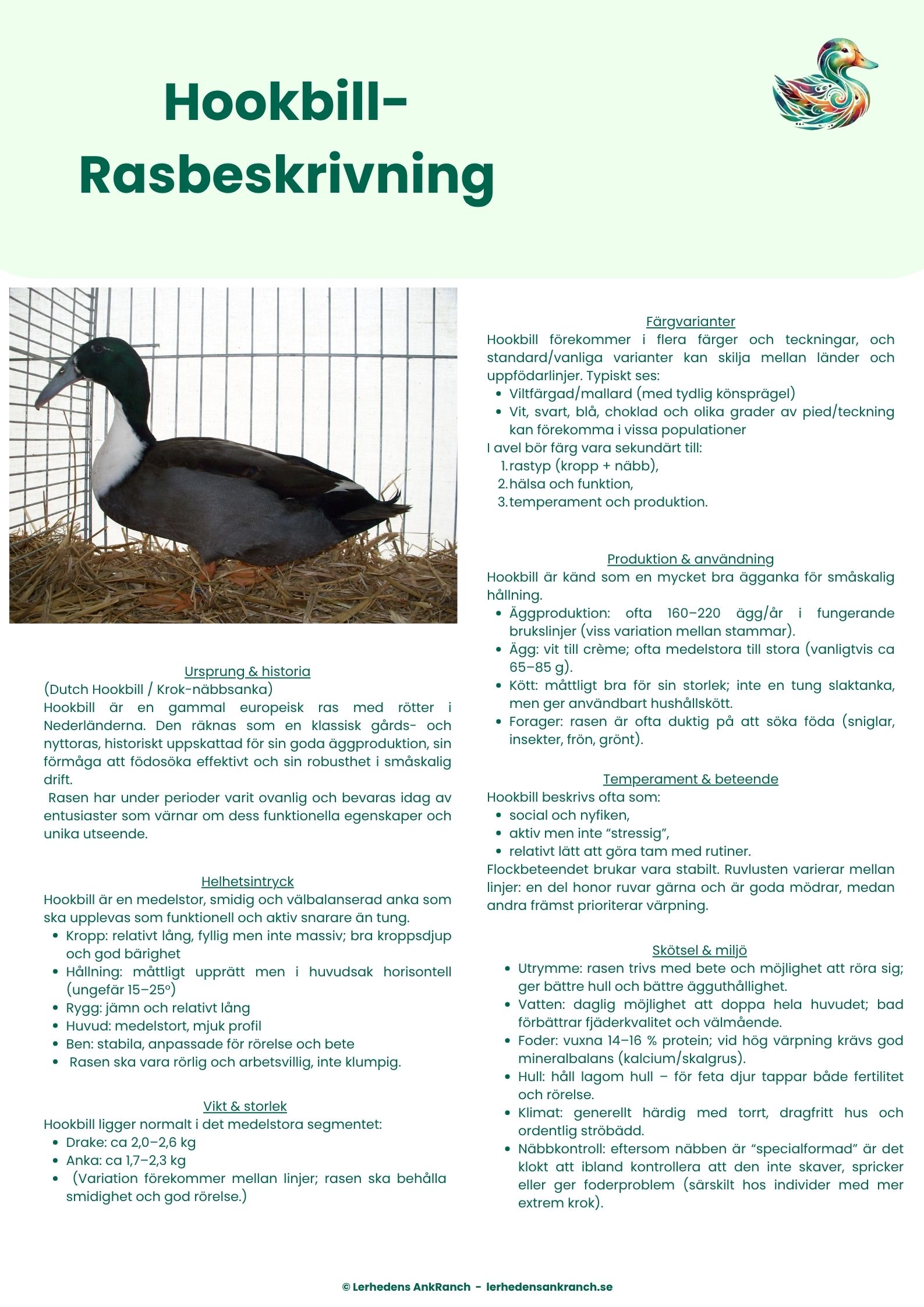 Hookbill